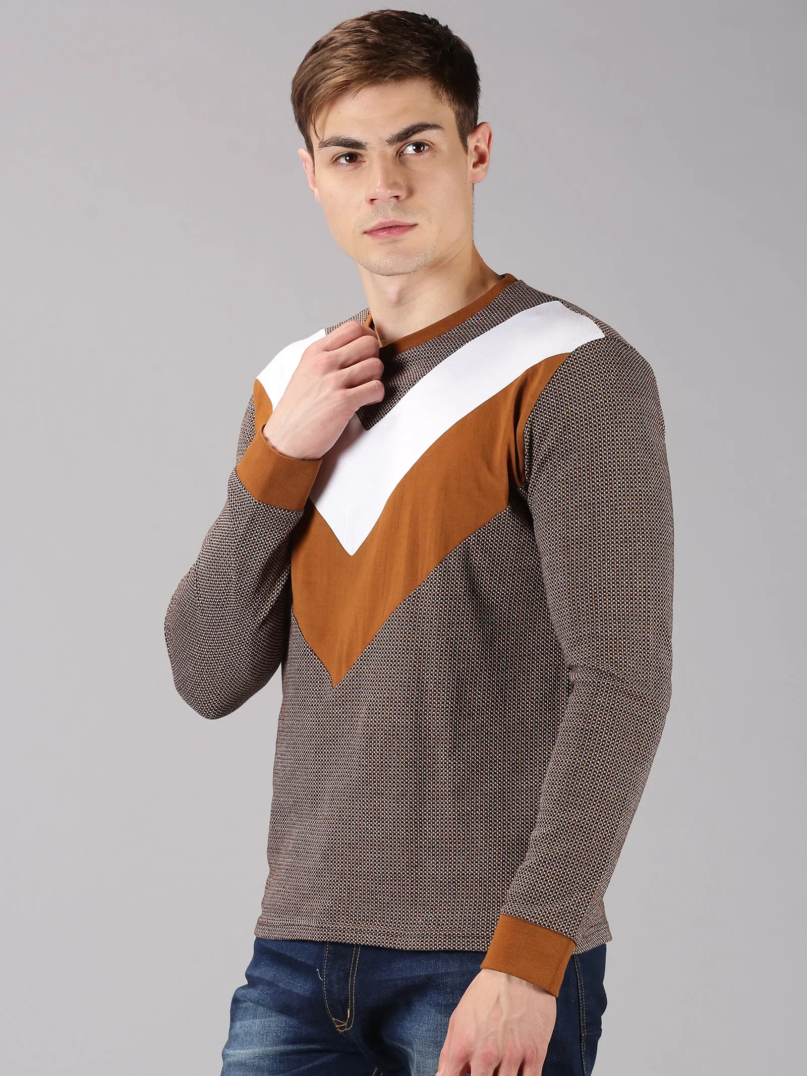 Men Brown White Color Blocked Round Neck Recycled Cotton Full Sleeve Regular Fit Casual T-Shirt